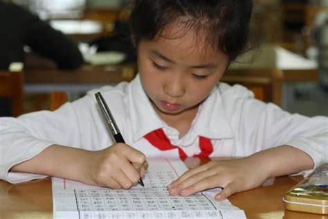 浙大学霸逼10岁女儿每天写4篇作文：教育的核心是这一点 - 知乎