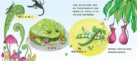 《小青蛙成长记》儿童科普类读物|插画|儿童插画|白芳圆 - 原创作品 - 站酷 (ZCOOL)
