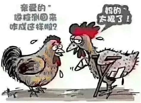 11岁“铁公鸡”仍不分红_财经_凤凰网