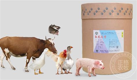 兽药原料批发能更好保障兽药品质的原因 - 广州正格农牧服务有限公司