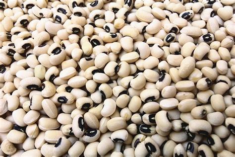 生活小常识：白芸豆的功效与作用 白芸豆价格 - 装修保障网