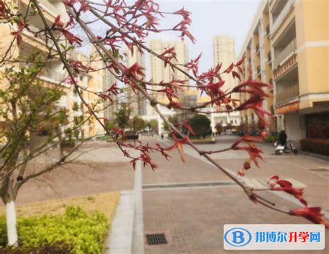 安徽繁昌第一中学2023年报名条件、招生要求、招生对象