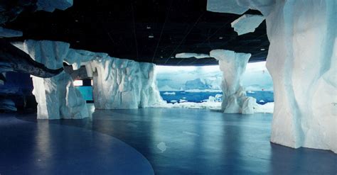 湖南最大极地馆！长沙生态动物园新增一长沙极地馆，将于近日开馆 - 玩转新景点 - 新湖南