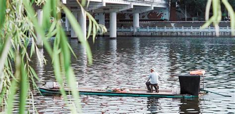 信阳日报-图片-浉河：河水清澈 绿意盎然