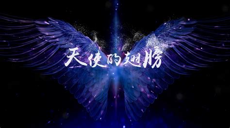 安琥天使的翅膀led演出视频背景-livekong来悟空