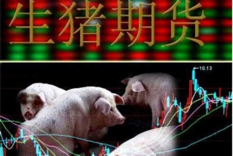 生猪期货主力合约涨停！不足20天时间猪肉价格涨超50%_全国