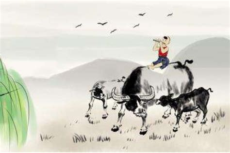 牧童牵牛,牧童骑牛,关于牧童牵牛的图_大山谷图库