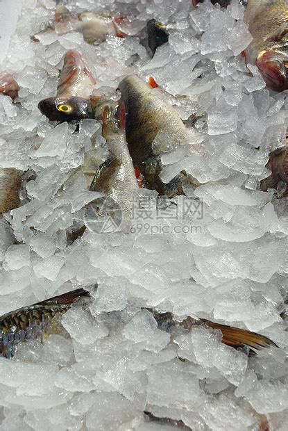 海鲜市场摊档各种生鲜鱼的高角度静物包括在冷冰床上却的鳐鱼鲮藏摊位高清图片下载-正版图片308047819-摄图网