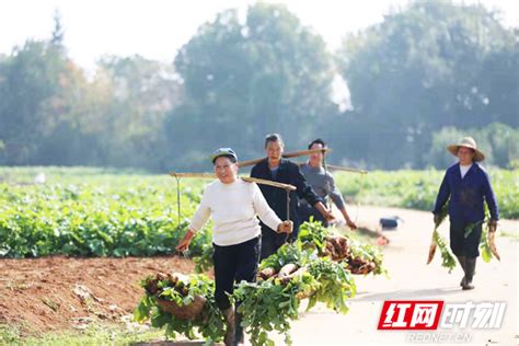 这个周末到衡阳县的农家乐看风景、吃地道农家菜！寄情乡村野趣！