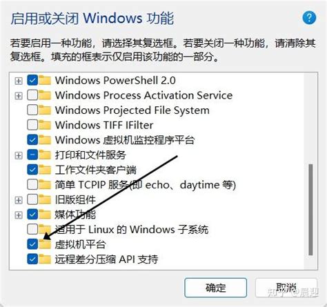 win11家庭版无法开启vm虚拟机怎么办？_无法启用windows虚拟机平台服务-CSDN博客