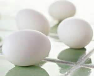 研究：海鸭鲜蛋的营养价值高于普通禽蛋_千人智库