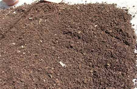 野外挖的腐叶土，这么处理，虫卵全死光，用起来真方便__财经头条