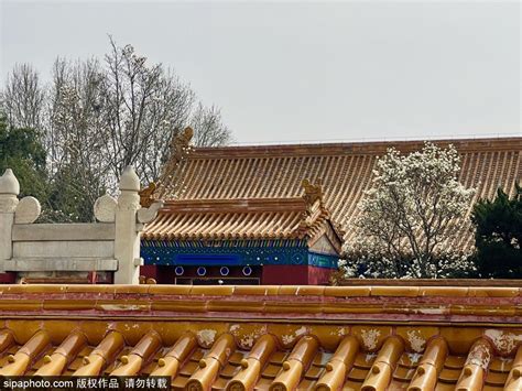 北京地坛医院、昌平区黄牛票贩子挂号联系方式-的简单介绍