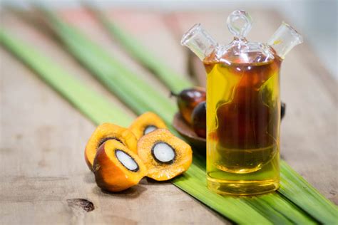 棕榈油季节性消费或强于豆油 建议油脂逢低短多-棕榈油期货-金投期货-金投网