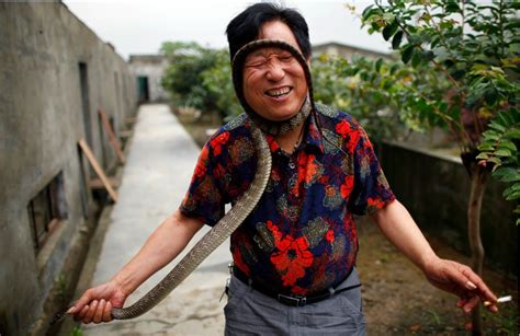 中国第一蛇村,300万条蛇带动经济,人们都用它降温驱蚊