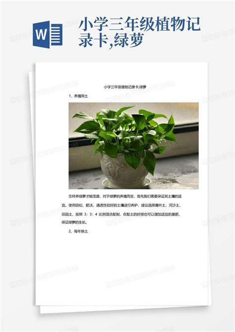 三年级植物记录卡绿萝,三年级植物卡片制作,三年级植物记录卡(第2页)_大山谷图库