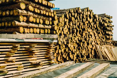 木材厂木材木头木材市场木业高清图片下载-正版图片501587143-摄图网
