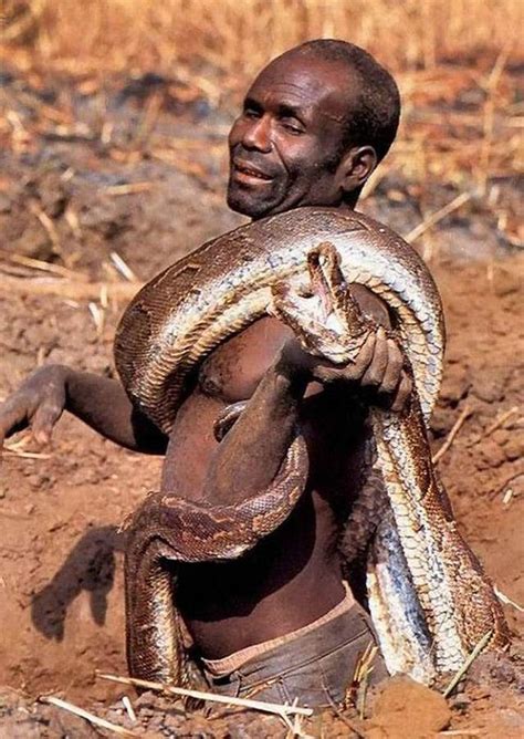 非洲蟒蛇猎人捕猎6米长巨蟒全过程：洞穴、下饵、割喉