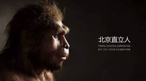 科学家有证据表明 中国人的祖先 是从非洲来的 __凤凰网