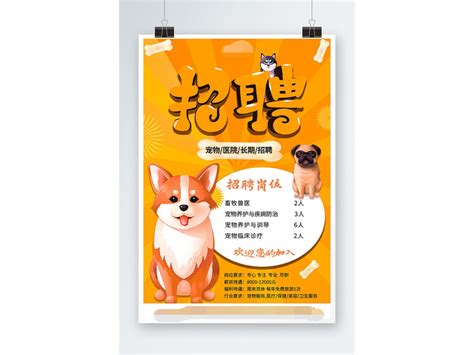 宠物店招聘设计图__海报设计_广告设计_设计图库_昵图网nipic.com