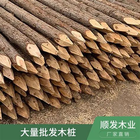 杉木原木 杉木桩 绿化支撑杆木制坚硬纹理清晰