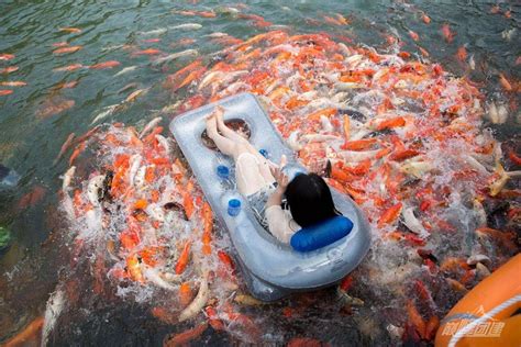 千岛湖欢乐水世界 享受水上游玩的乐趣-旅游经验本