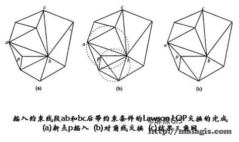 基于Voronoi图的林分空间模型及分布格局研究