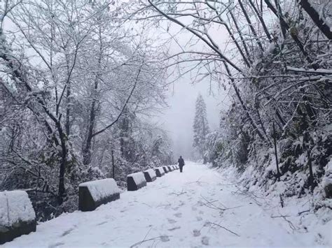 【2012年北京第一场雪摄影图片】北京纪实摄影_大华_太平洋电脑网摄影部落