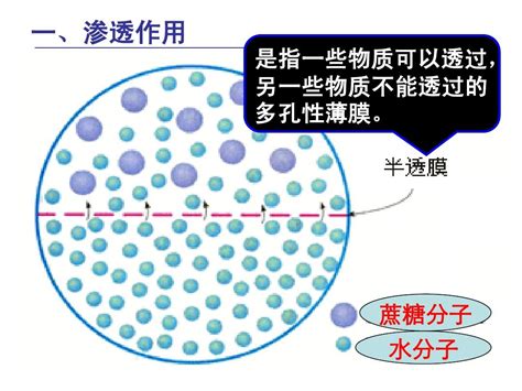 右图为物质进出细胞的两种方式，对该图的 正确理解是( )。 A．甲和乙分别表示协助扩散和主动运输 B．甲和乙分别表示胞吞和胞吐 C．葡萄糖、性 ...
