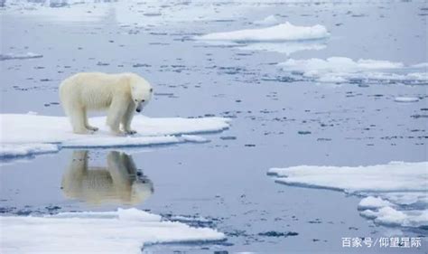 温室效应导致冰川融化，如果冰川全部融化地球将会被淹没！