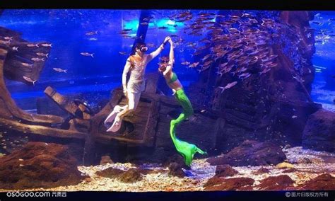 从海洞往上看的美人鱼的水下景色高清图片下载-正版图片501457813-摄图网