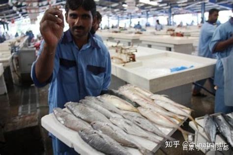威海已经封海了，市场上的鲜鱼又是从哪来的？