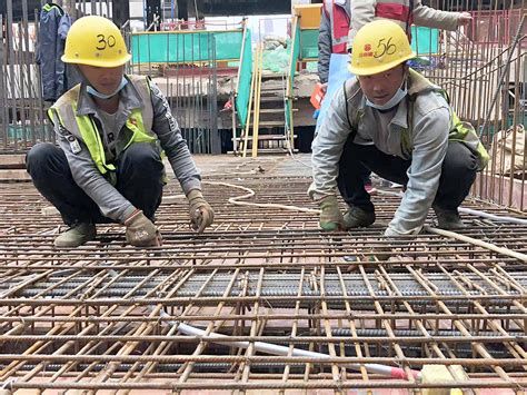 开工首日 南山区各单位干部职工以饱满的精神状态迅速投入工作