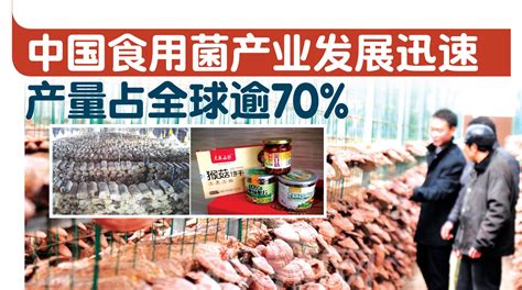 中国食用菌产业发展迅速 产量占全球逾70% - 农牧世界