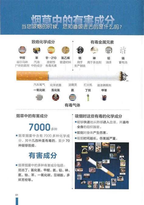 吸烟的危害 - 北京大医公益基金会
