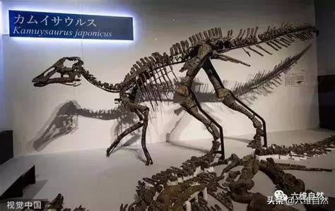 恐龙陷入致命泥潭，经过千万年变成化石 - 知乎