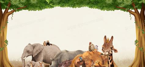 动物保护森林动物园简约卡通广告背景图片免费下载-千库网