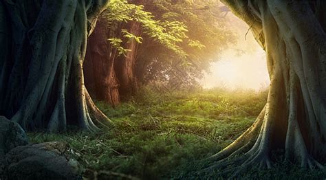 梦幻森林背景图片素材-正版创意图片401708473-摄图网