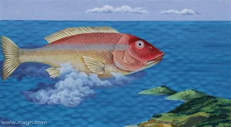 梦见钓了一条大鱼是什么意思预兆 - 原版周公解梦大全