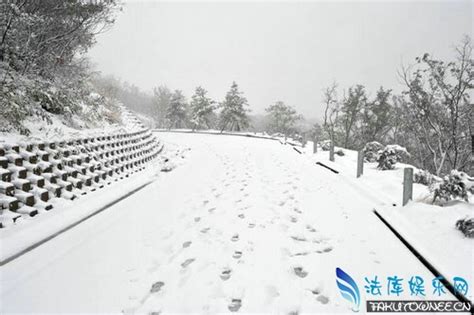 北京下雪你看见了吗？多地飘雪地面见白-图片频道