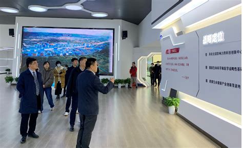 学校与高新区协同推进金凤实验室建设-重庆医科大学新闻网