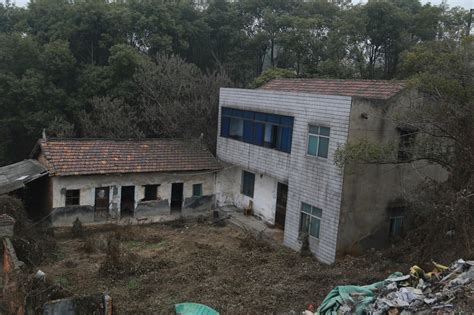 农村这样的房子为何被废弃了？留下来的是杂草丛生如同鬼屋
