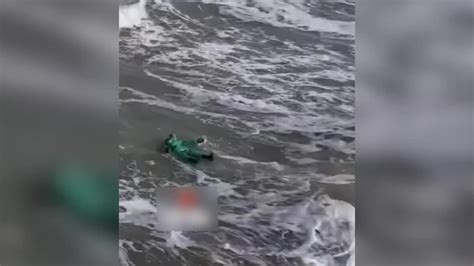 男子捞海肠时被海浪卷走，众人拉起绳子接力救援_凤凰网视频_凤凰网