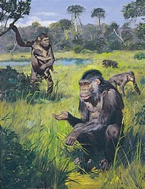 历史上的今天12月1日_1978年中国人类学家吴汝康率领的发掘队，在云南省禄丰县石灰坝发现一具800万前的腊玛古猿头骨化石。