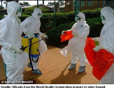 伊波拉病毒高清摄影大图-千库网