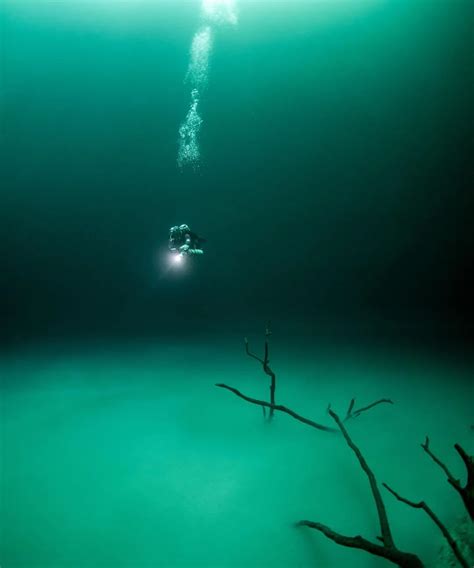 看完这30张图,深海恐惧症彻底发作了…|恐惧症|深海|海洋_新浪新闻