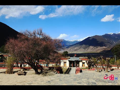 西藏林芝：初夏乡村美景入画来-人民图片网