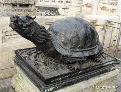 神龟！郓城挖出距今七百多年的驮碑赑（bì）屃（xì）-搜狐大视野-搜狐新闻
