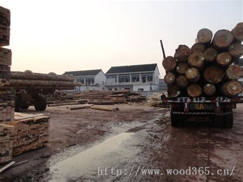 苏州木材批发市场-木方木材加工厂