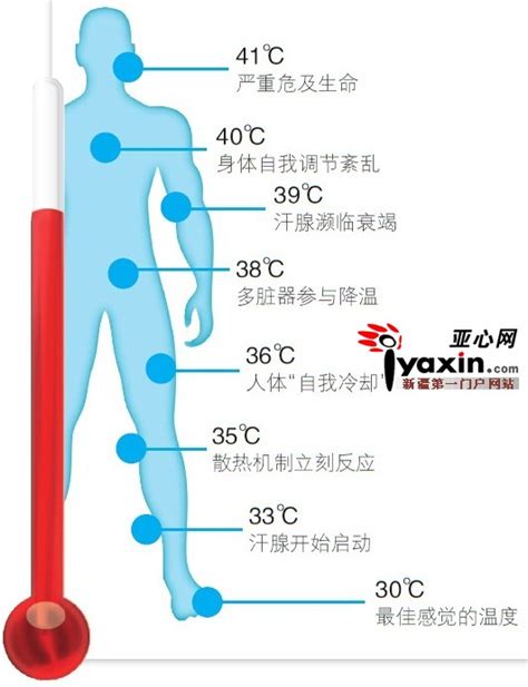 人体温度多少正常_人体温度多少度正常_淘宝助理